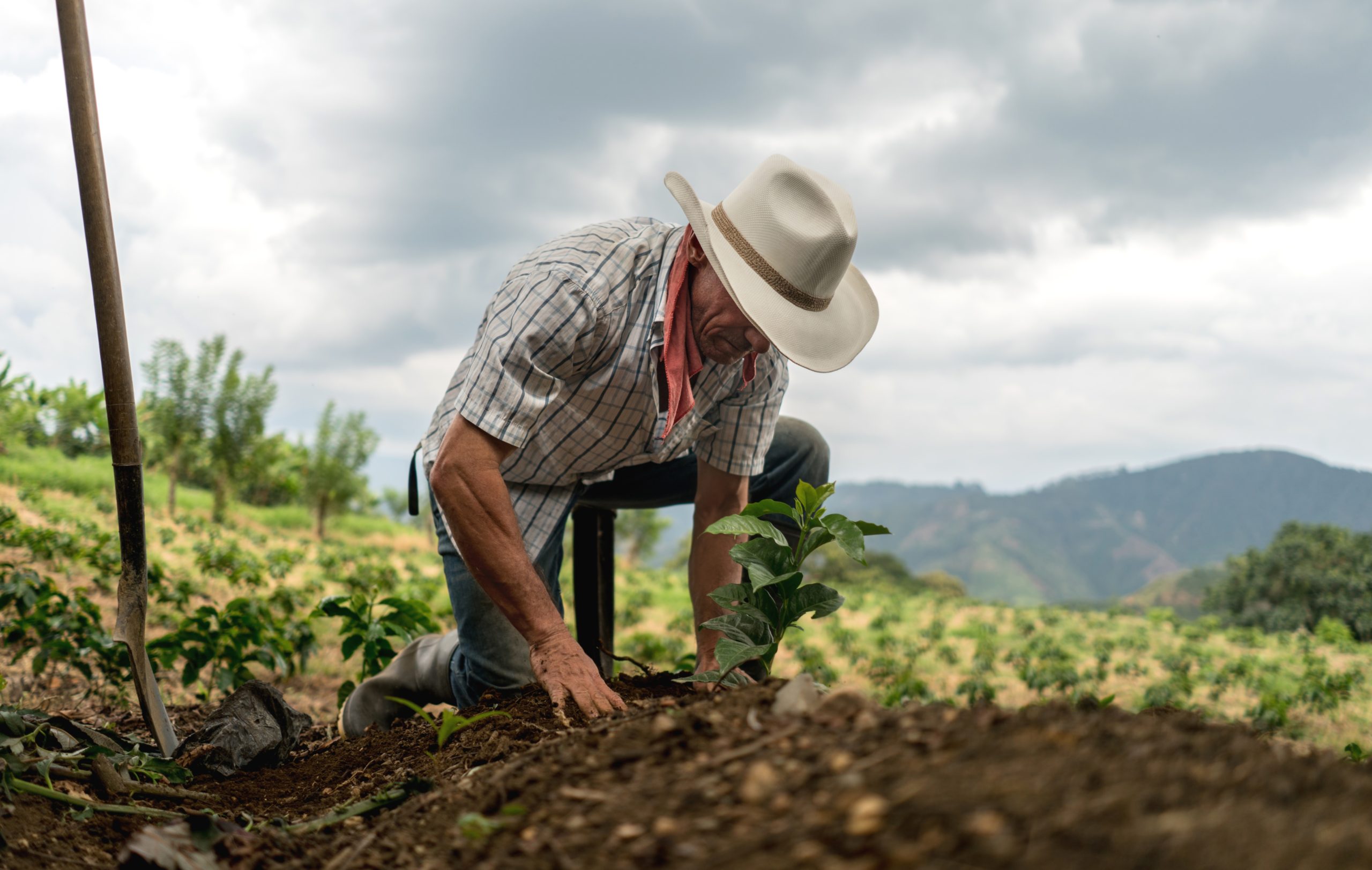 Governo do Estado garante pagamento do Garantia Safra para mais de 53,6 mil agricultores familiares