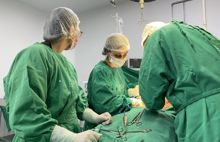 Central de Transplantes registra oitava doação de múltiplos órgãos em 2025 e cinco pessoas saem da lista de espera