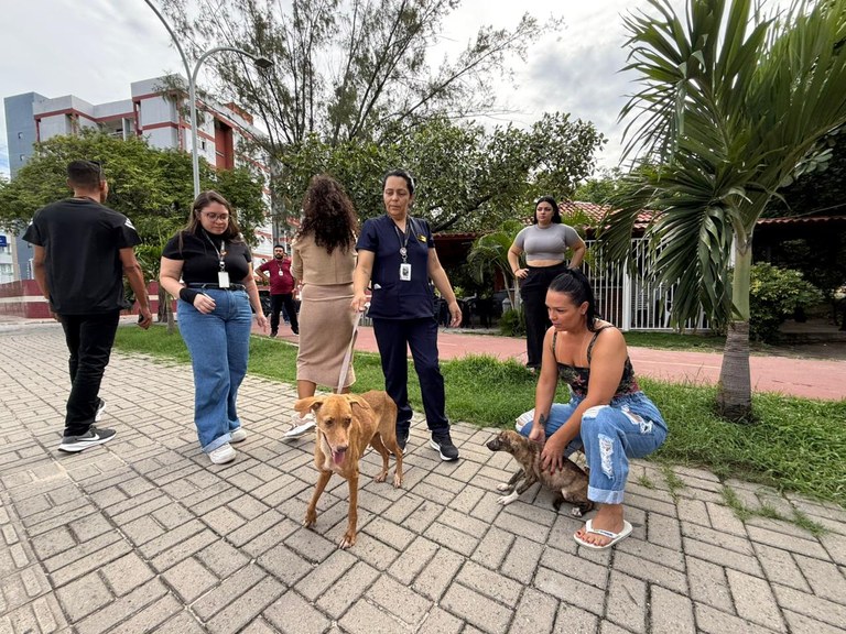 Sepa resgata cadela vítima de maus-tratos e aciona forças de segurança em João Pessoa